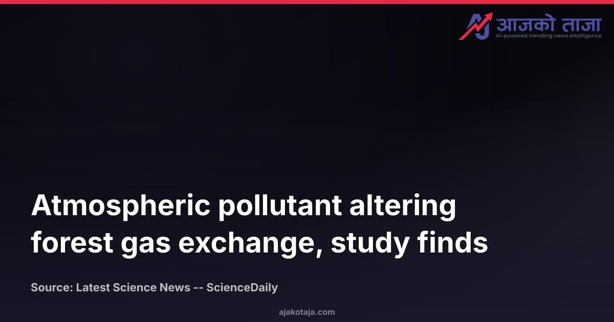 Atmospheric pollutant altering forest gas exchange, study finds