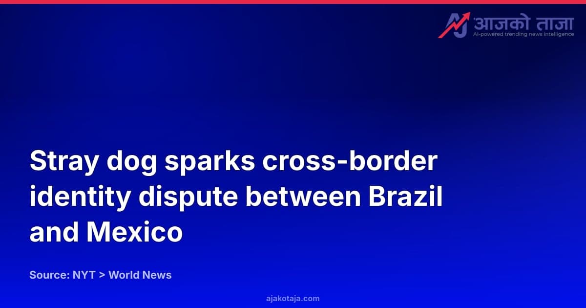 Stray dog sparks cross-border identity dispute between Brazil and Mexico